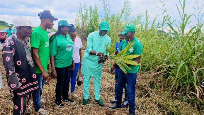 Honourable Ebi Ben Ololo Performs Tree Planting Excercise In Adagbabiri Community