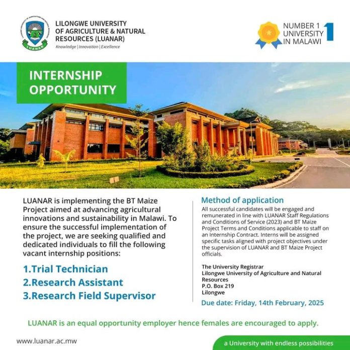 LUANAR Internship Opportunities 2025