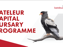 Bateleur Capital Bursary Programme 2025 for South African Students