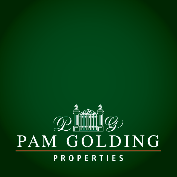 Pam Golding Real Estate Internship Opportunities 2025 for South Africans