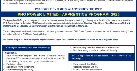 PNG Power Apprentice Program 2025 Recruitment for Papua New Guineans Aspiring Graduates