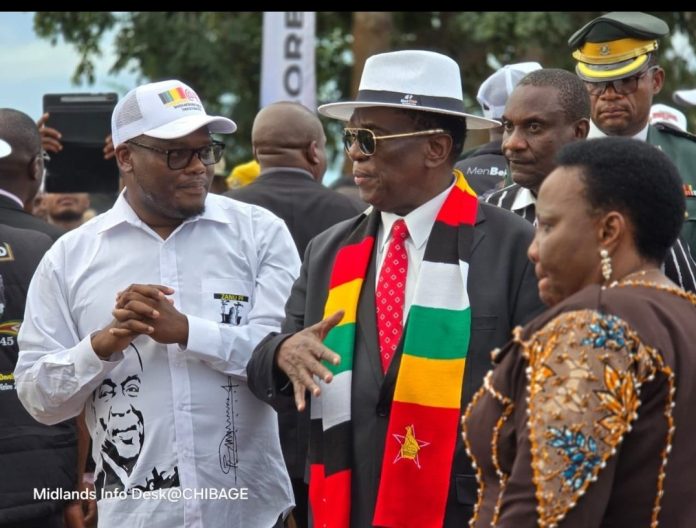 Zimbabwe to Service 50 000 Residential Stands Under the Presidential War Veterans Fund