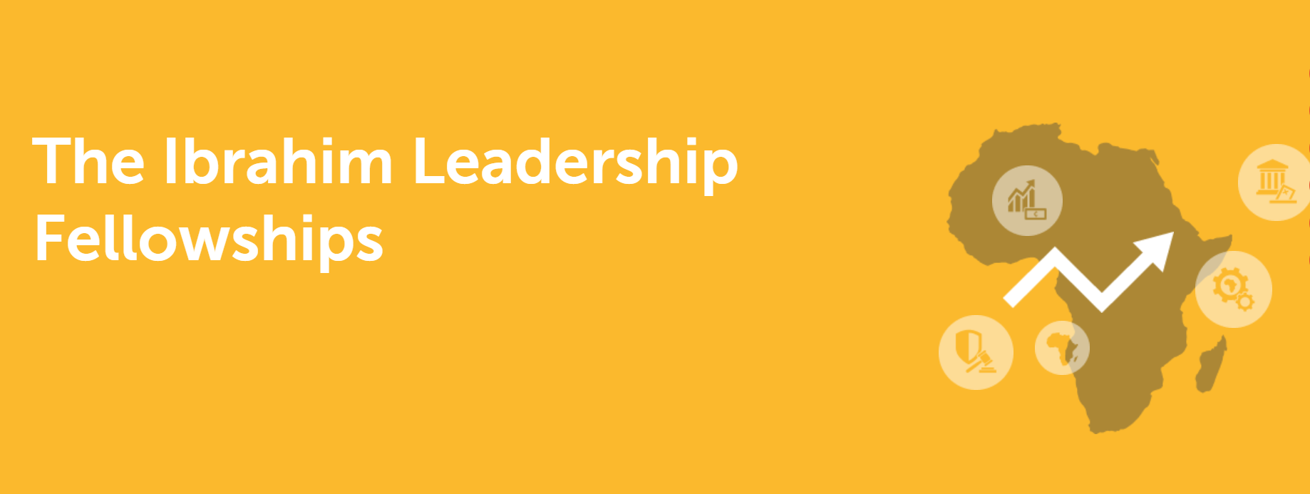 2026 Mo Ibrahim Foundation Leadership Fellowship Programme