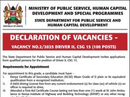 100 Driver II CSG 15 Vacancies at Kenya Public Service
