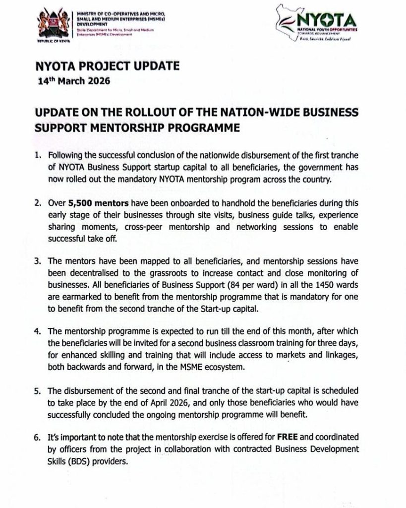 Poster showing the NYOTA Project nationwide business support mentorship programme with 5,500 mentors, 1,450 wards covered, training sessions, site visits, and guidance for MSME beneficiaries.