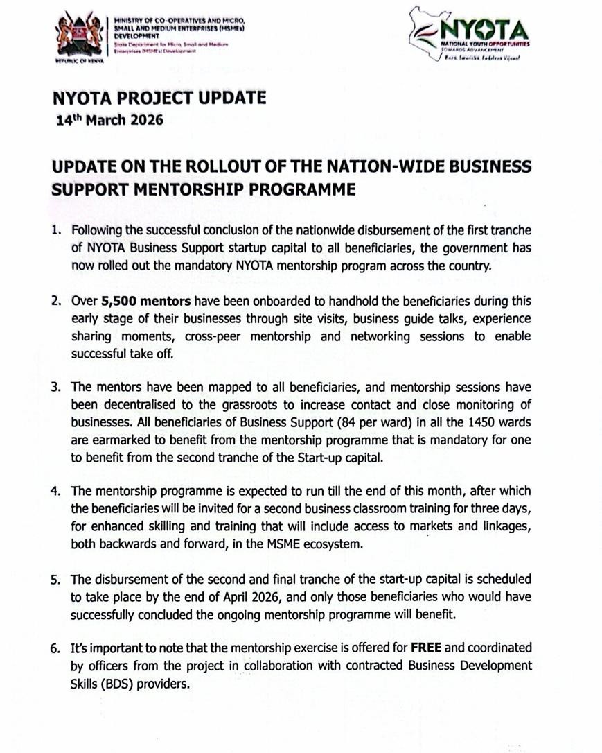 Poster showing the NYOTA Project nationwide business support mentorship programme with 5,500 mentors, 1,450 wards covered, training sessions, site visits, and guidance for MSME beneficiaries.